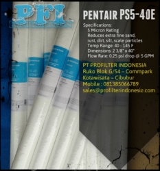Pentair PS5 40E Filter Cartridge Indonesia  large